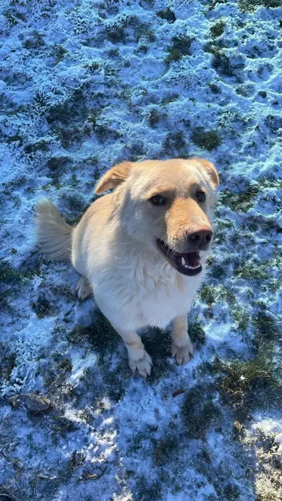 Elly -  - Bild 4