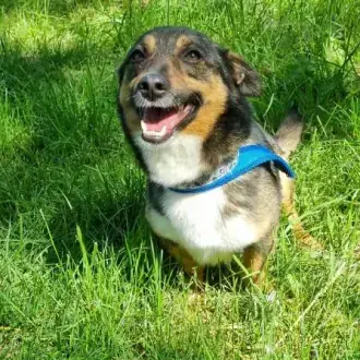 Otto -  - Bild 2