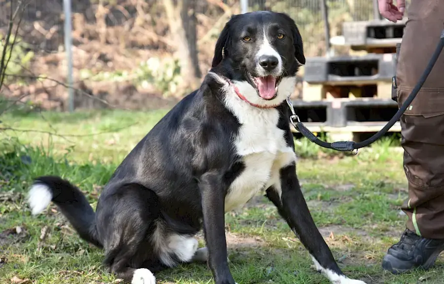 Marley -  - Bild 1
