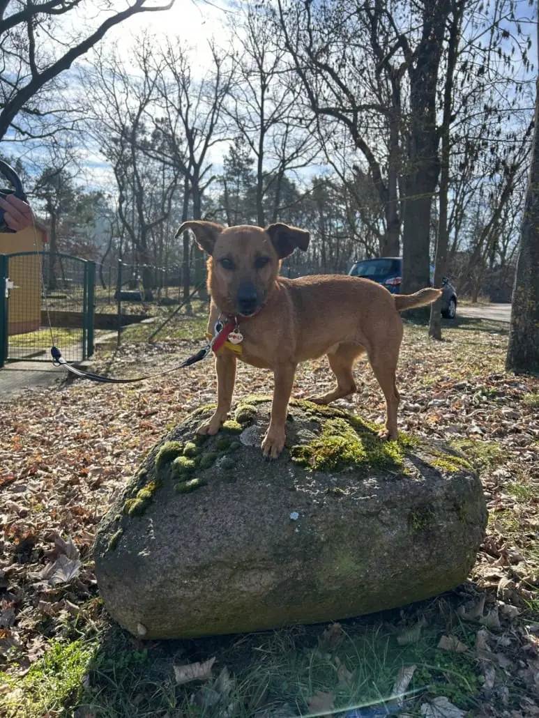Elly -  - Bild 1