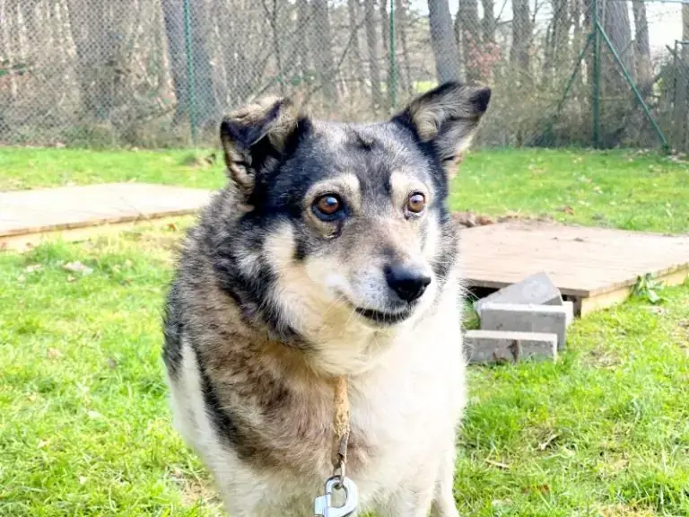 Grace -  - Bild 3