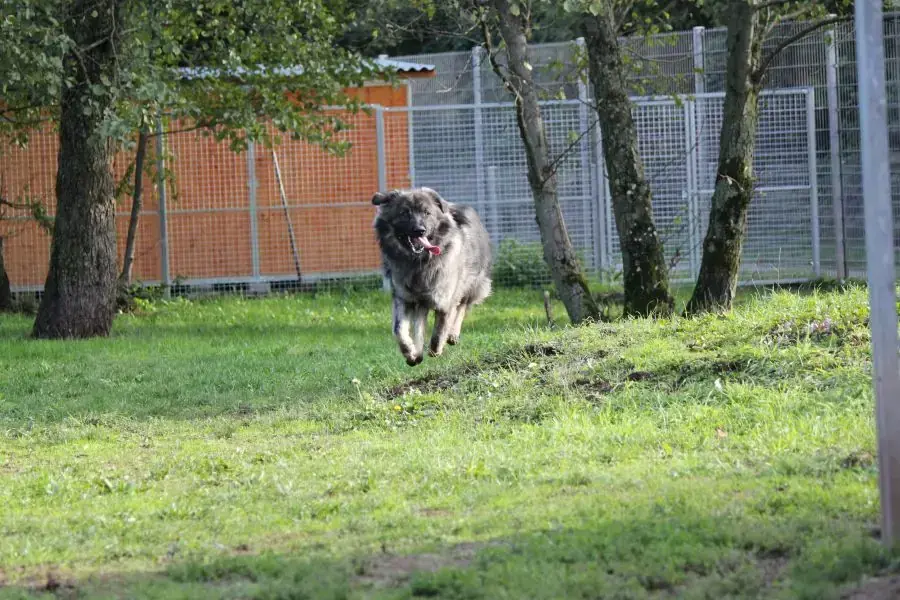 Rocky -  - Bild 17