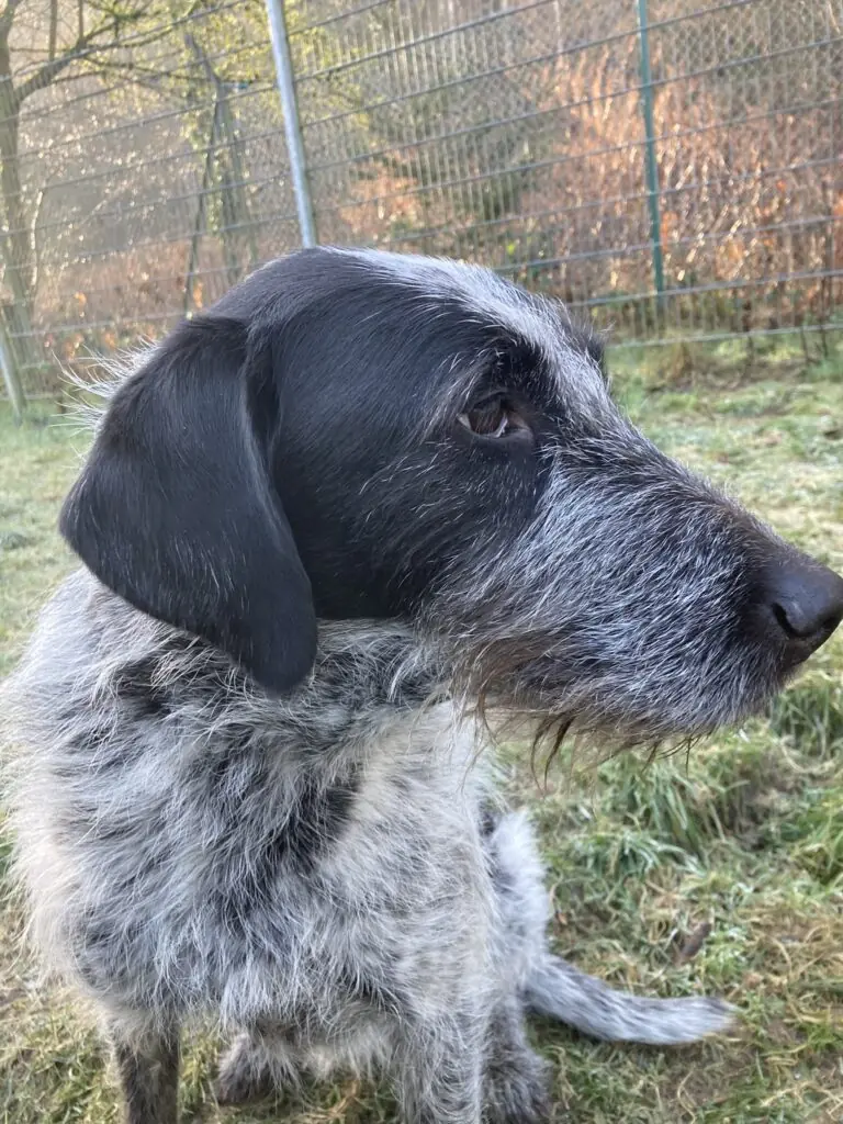 Kira -  - Bild 2