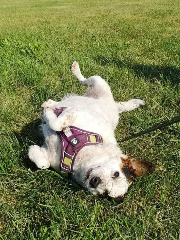Betty -  - Bild 7
