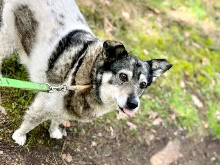 Grace -  - Bild 15