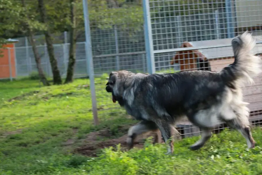 Rocky -  - Bild 1