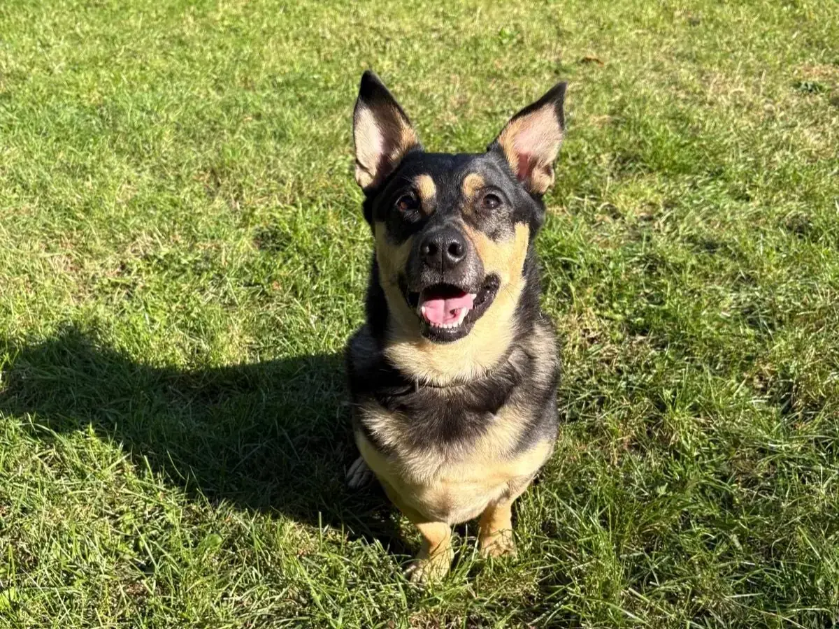 Rocky -  - Bild 2