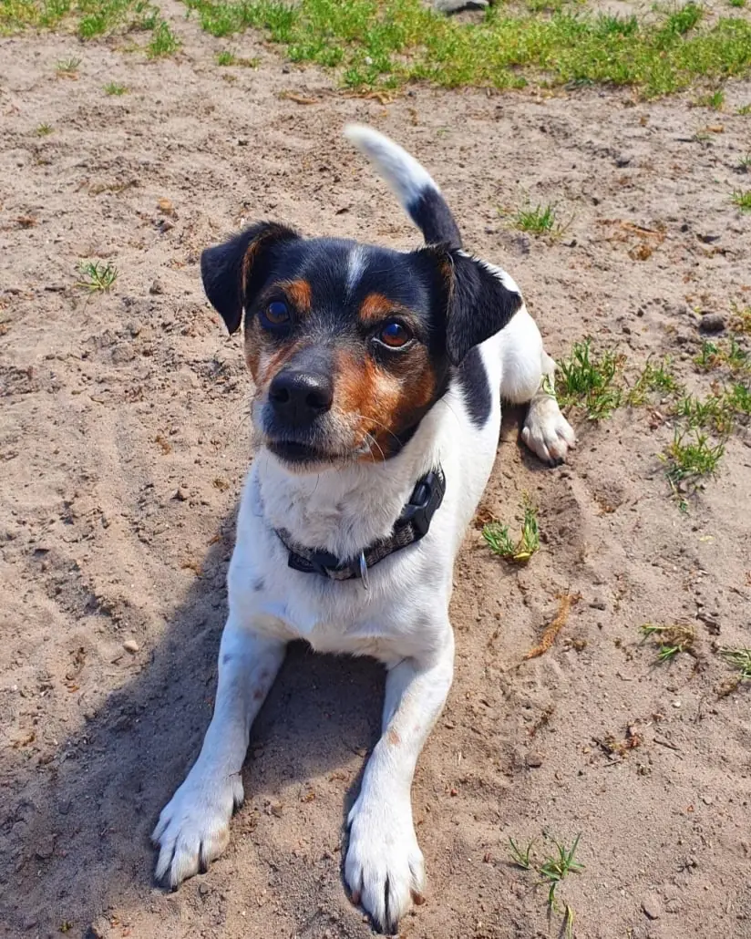 Max -  - Bild 6