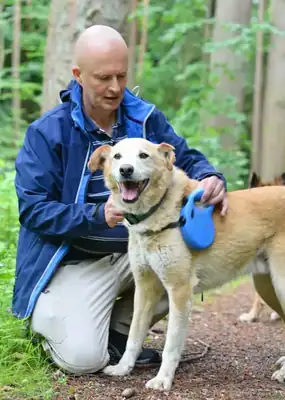 Atze – Hund – Bild 4