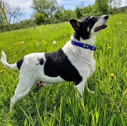 Milly -  - Bild 2