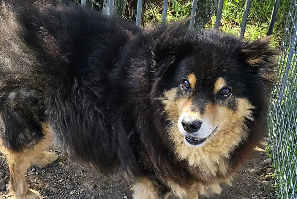 Iluki -  - Bild 1