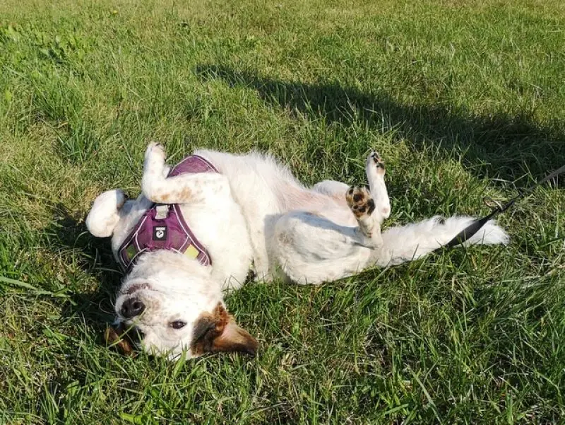 Betty -  - Bild 5