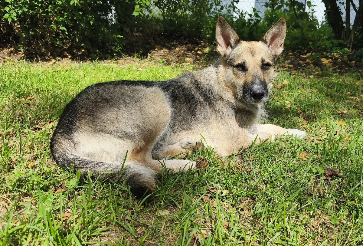 Lucy -  - Bild 5