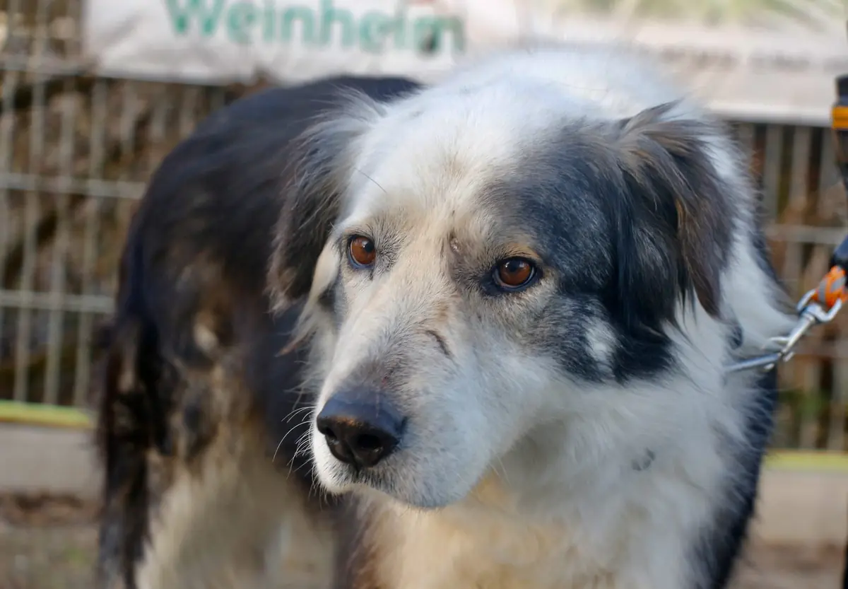 Rita -  - Bild 5