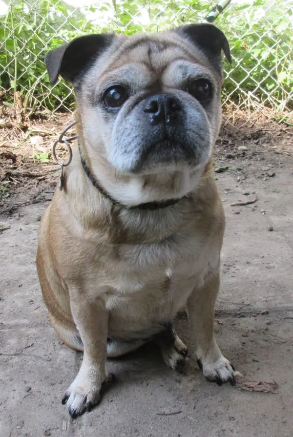 Joschi -  - Bild 2