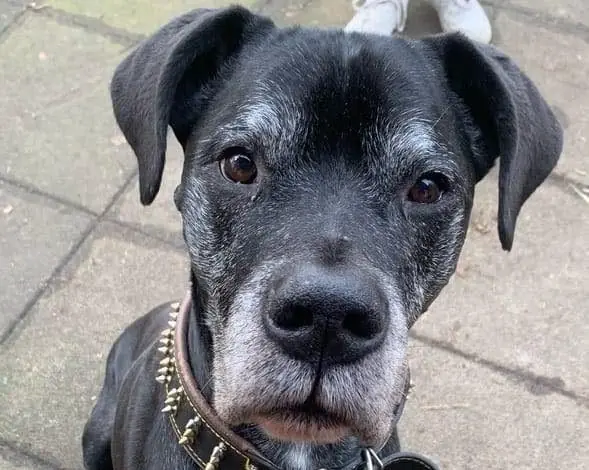 Clyde -  - Bild 1