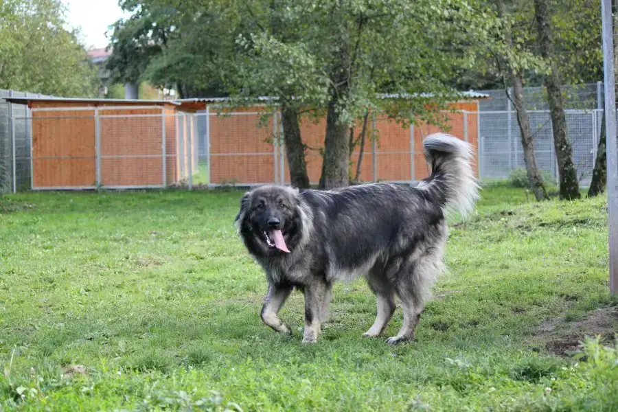 Rocky -  - Bild 7