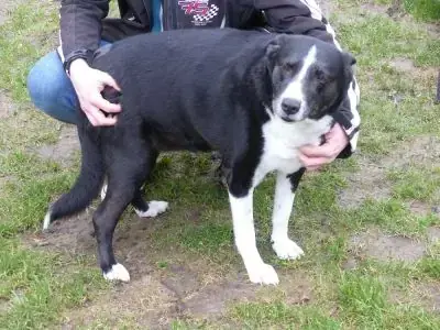 Maja -  - Bild 9