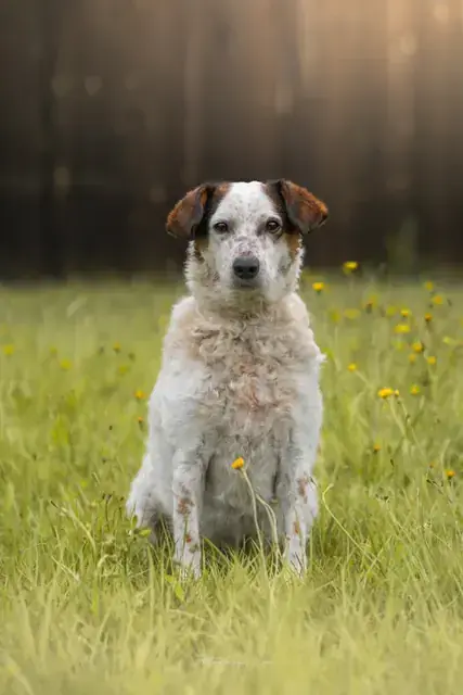 Betty -  - Bild 1