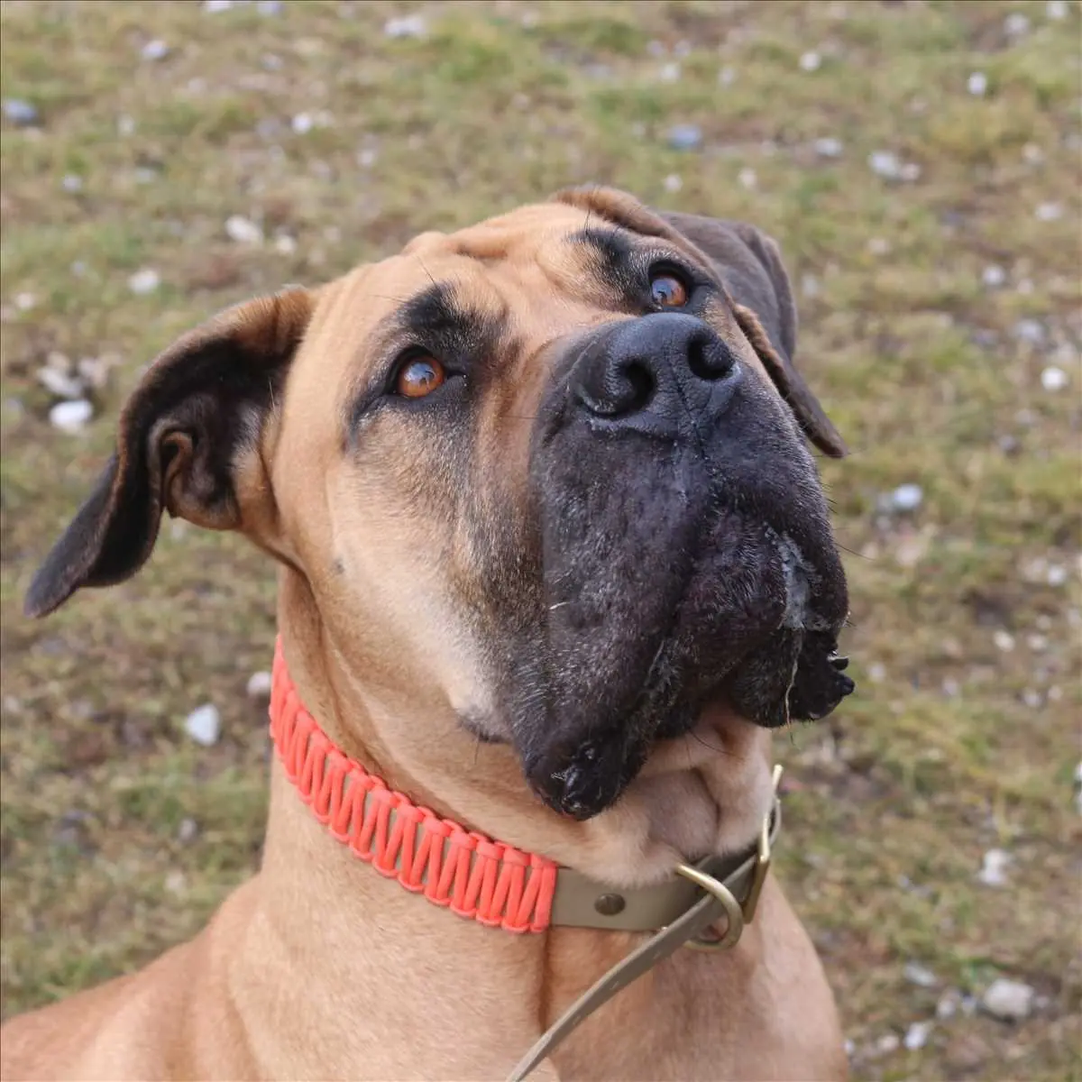FINJA -  - Bild 2
