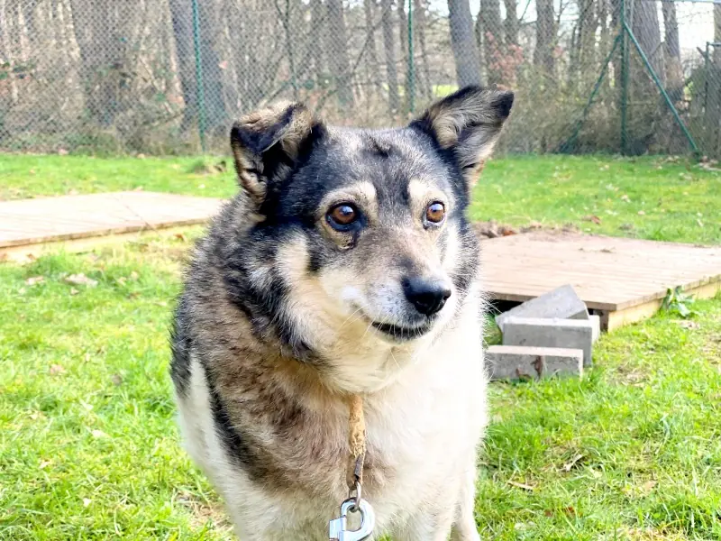 Grace -  - Bild 12
