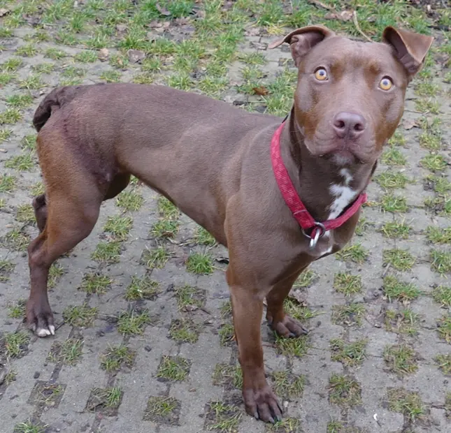 Heidi -  - Bild 5