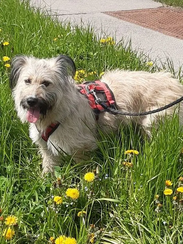 Arina -  - Bild 2