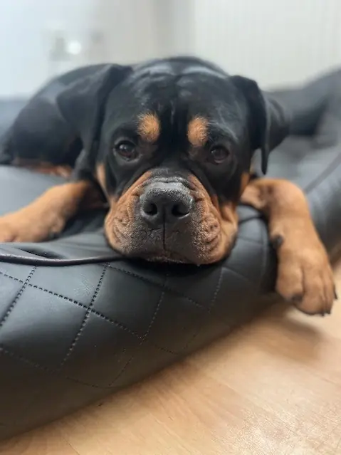 Spike -  - Bild 2