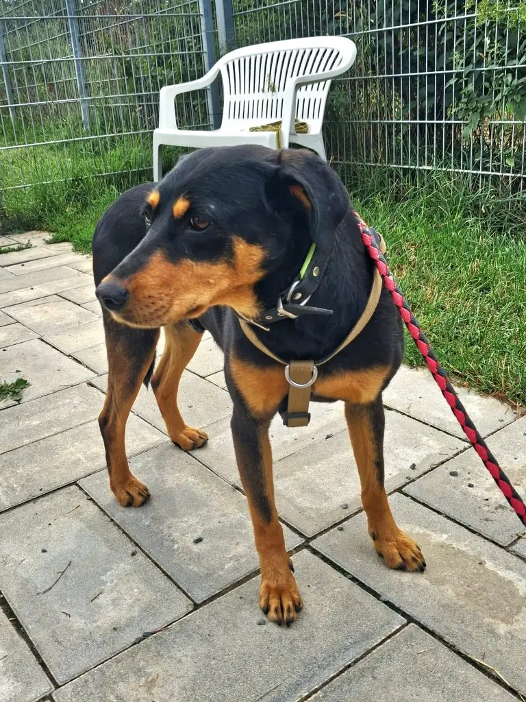 Emmi -  - Bild 4