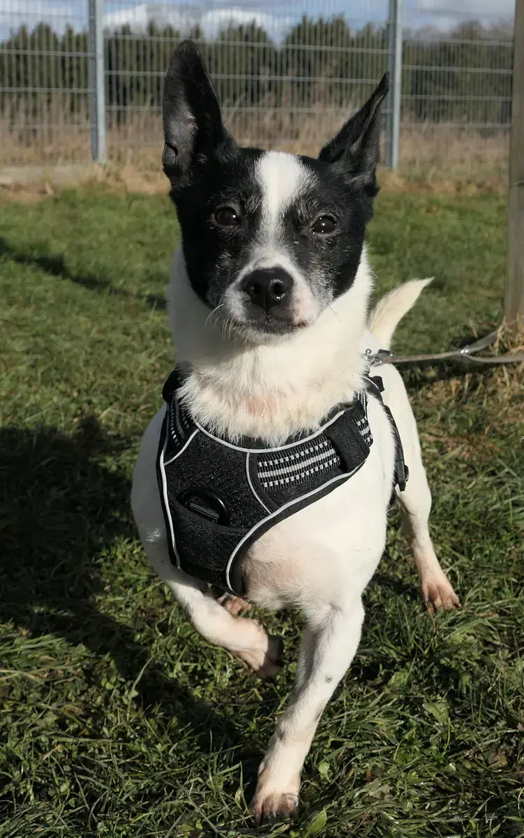 Frida -  - Bild 2