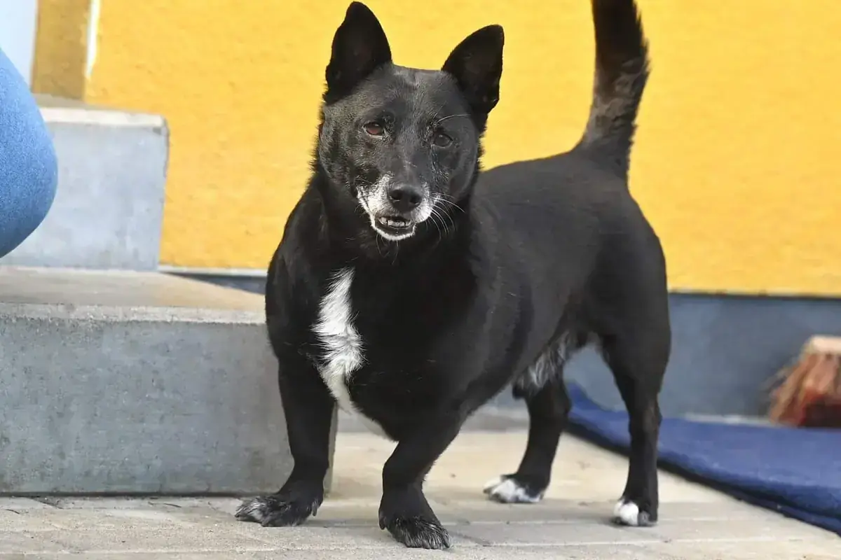Fritzi -  - Bild 2