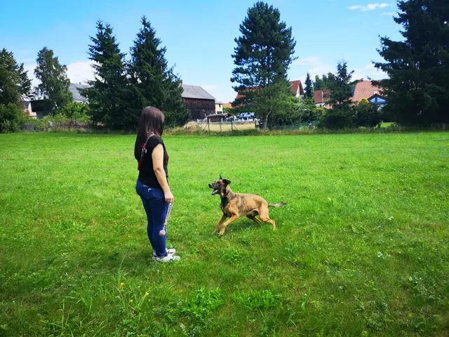 Aki -  - Bild 22