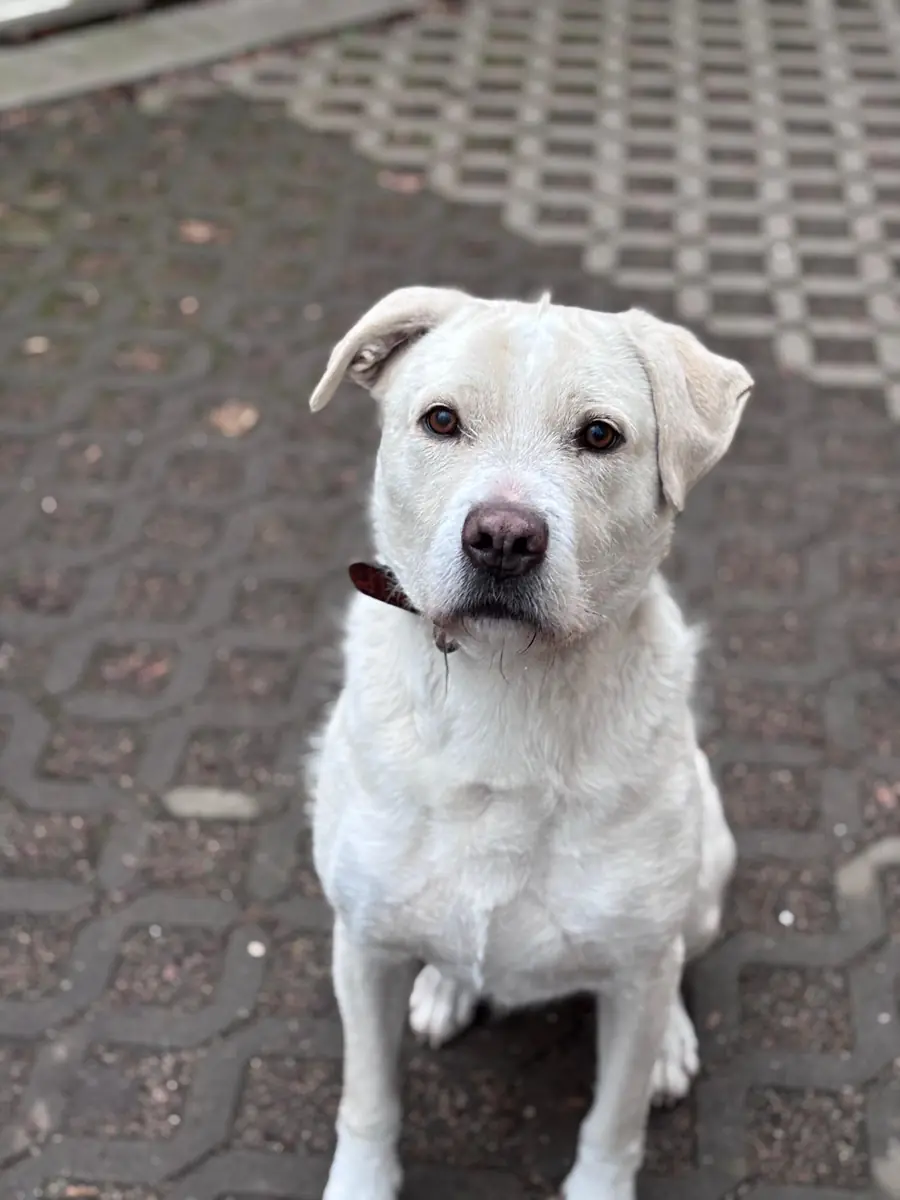 Finley -  - Bild 1