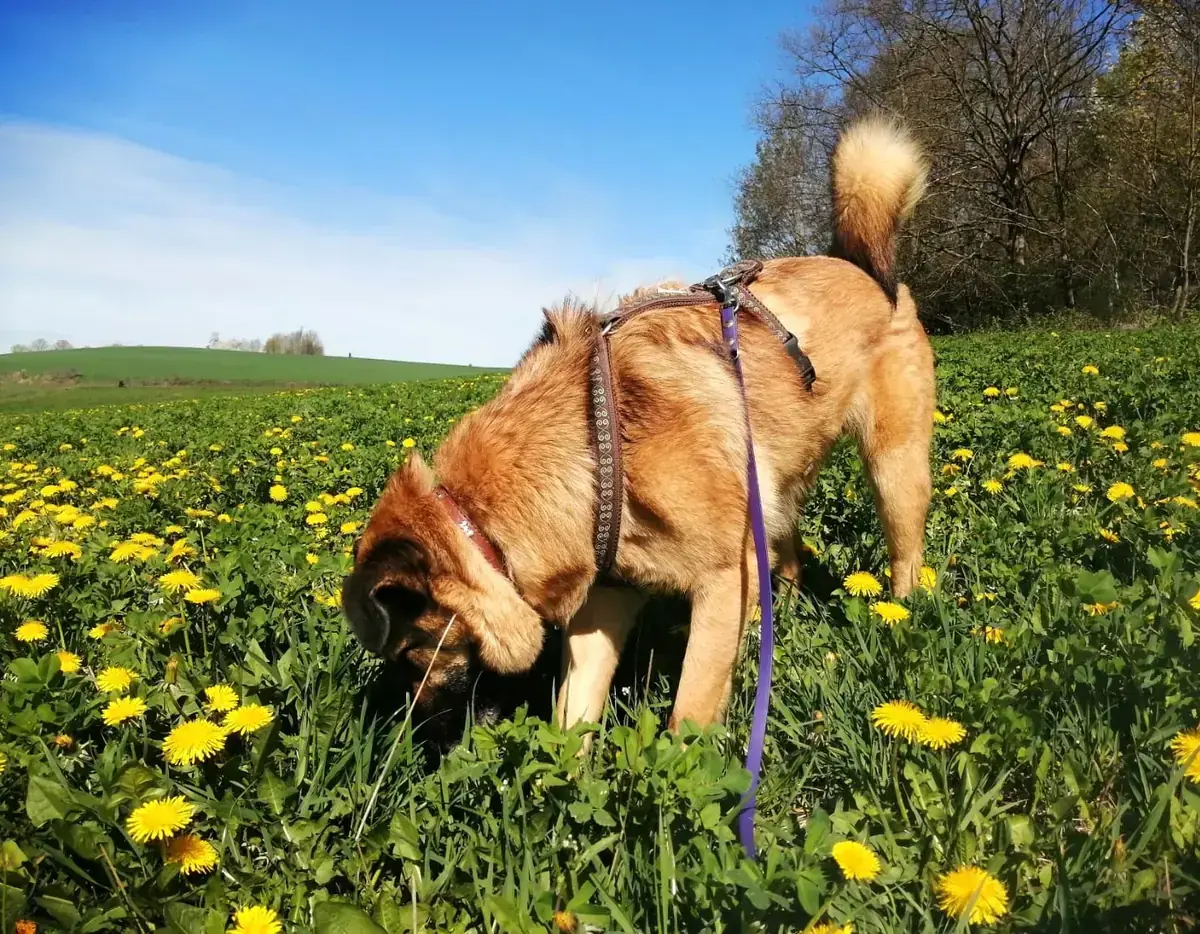 Barry -  - Bild 3