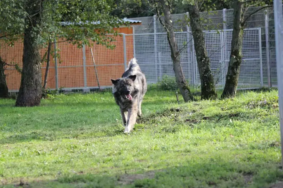 Rocky -  - Bild 18