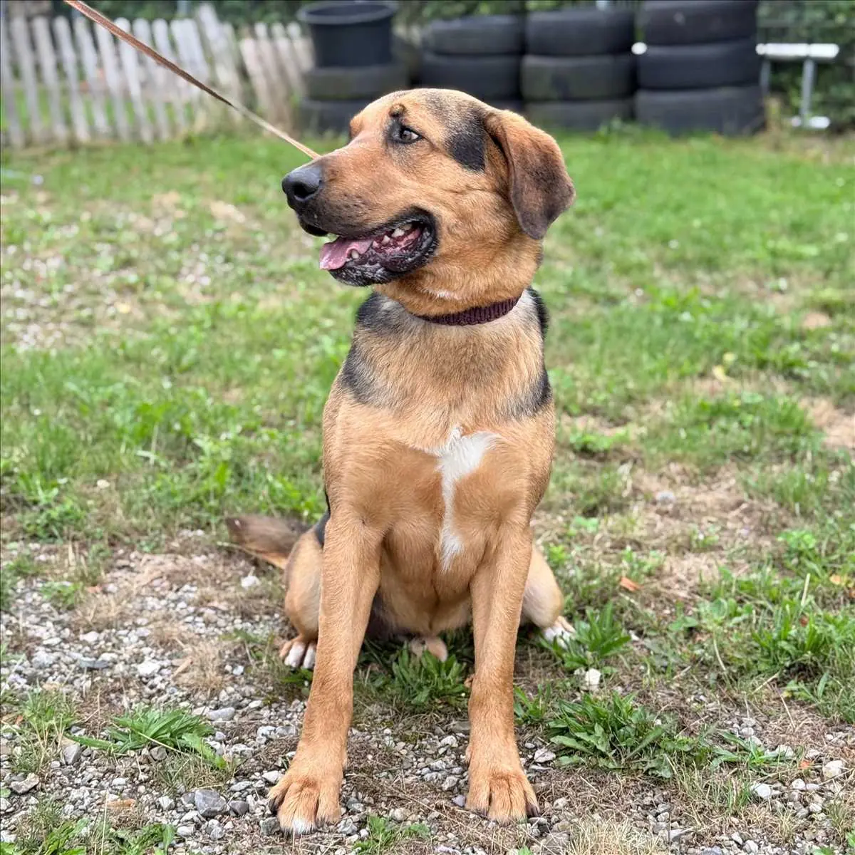 MILO -  - Bild 2