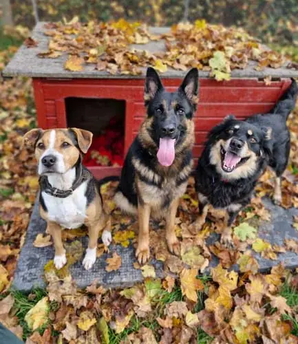 Paula -  - Bild 9