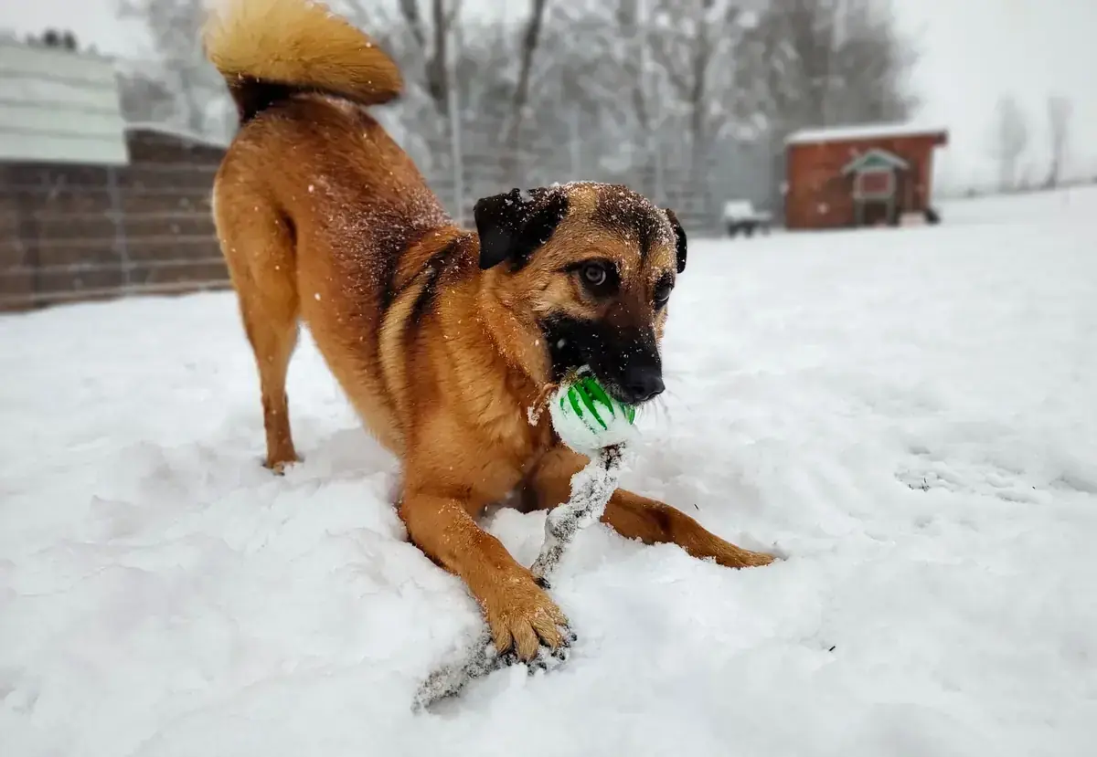 Barry -  - Bild 6