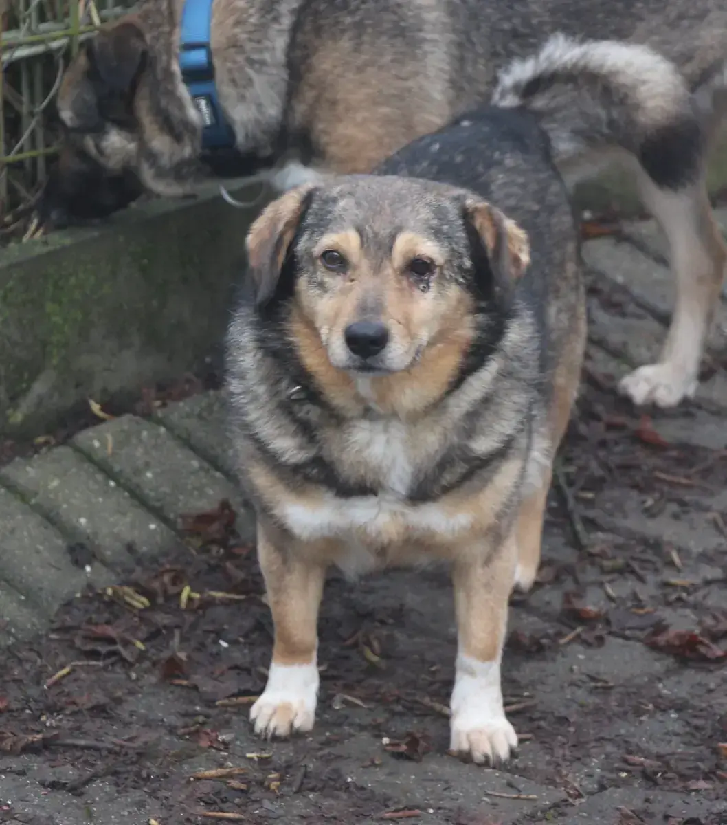 Benito -  - Bild 1