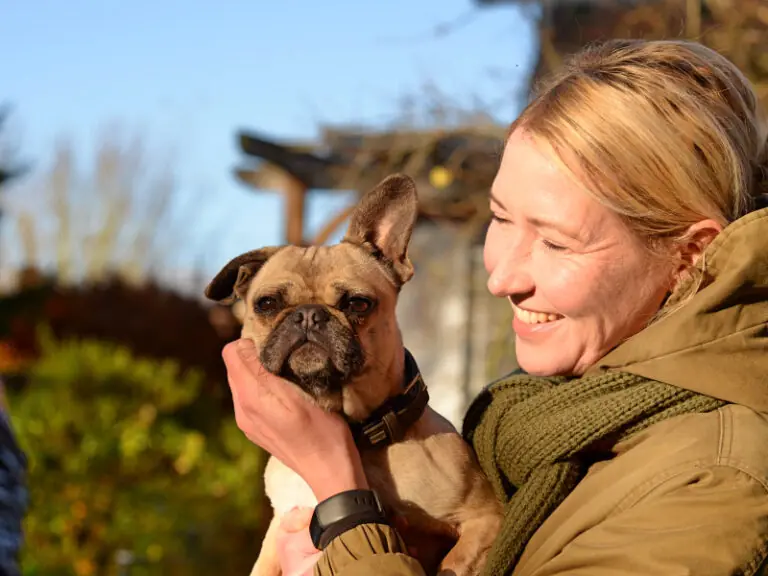 Sandy - Französische Bulldogge - Bild 8
