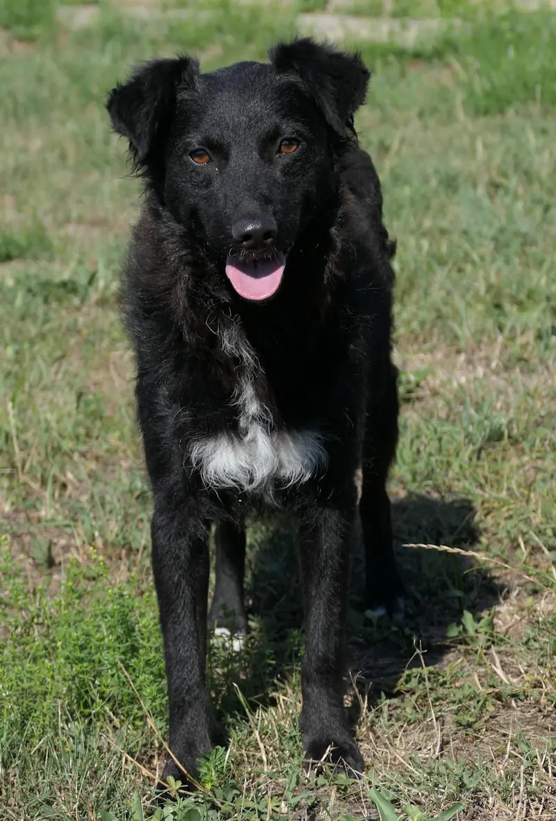 Diana - Mudi - Bild 2