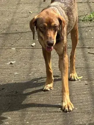 Tilda -  - Bild 4