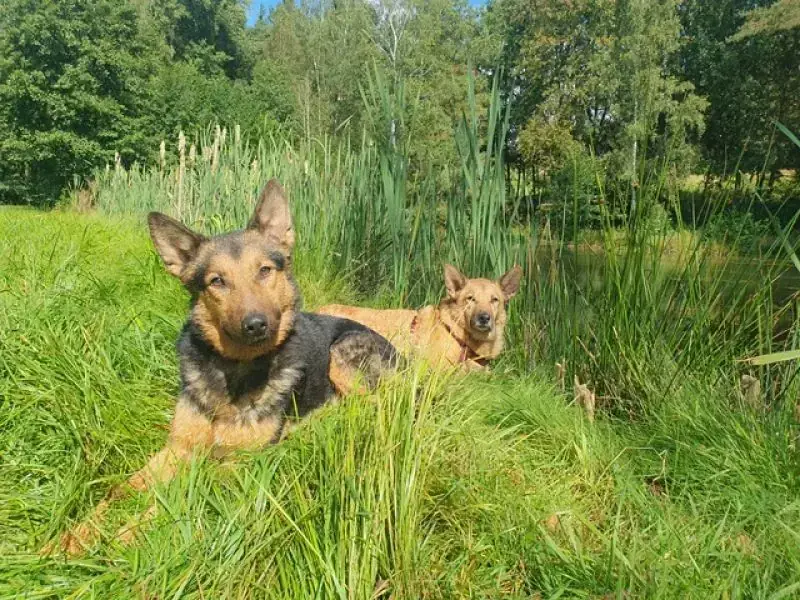Lando -  - Bild 9