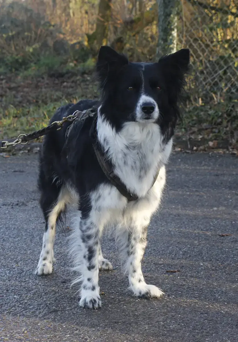 Emmi -  - Bild 5