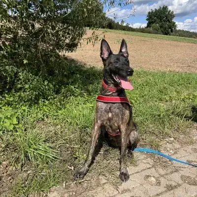 Zora -  - Bild 1