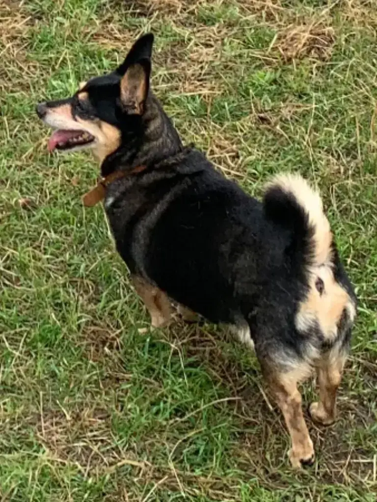 Lissy -  - Bild 4