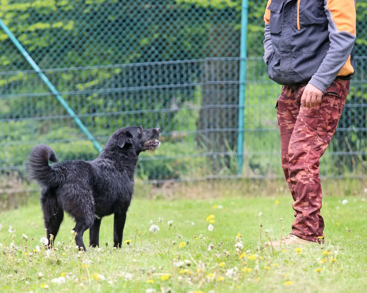 Gerda -  - Bild 6