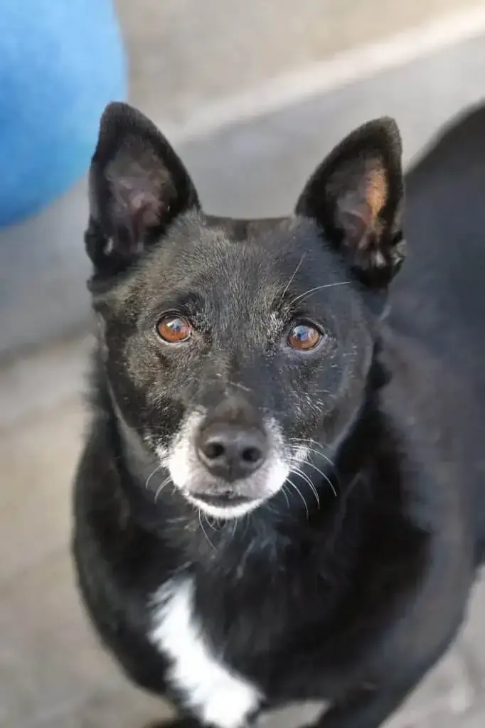 Fritzi -  - Bild 1
