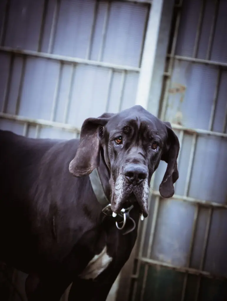 Lothar -  - Bild 1