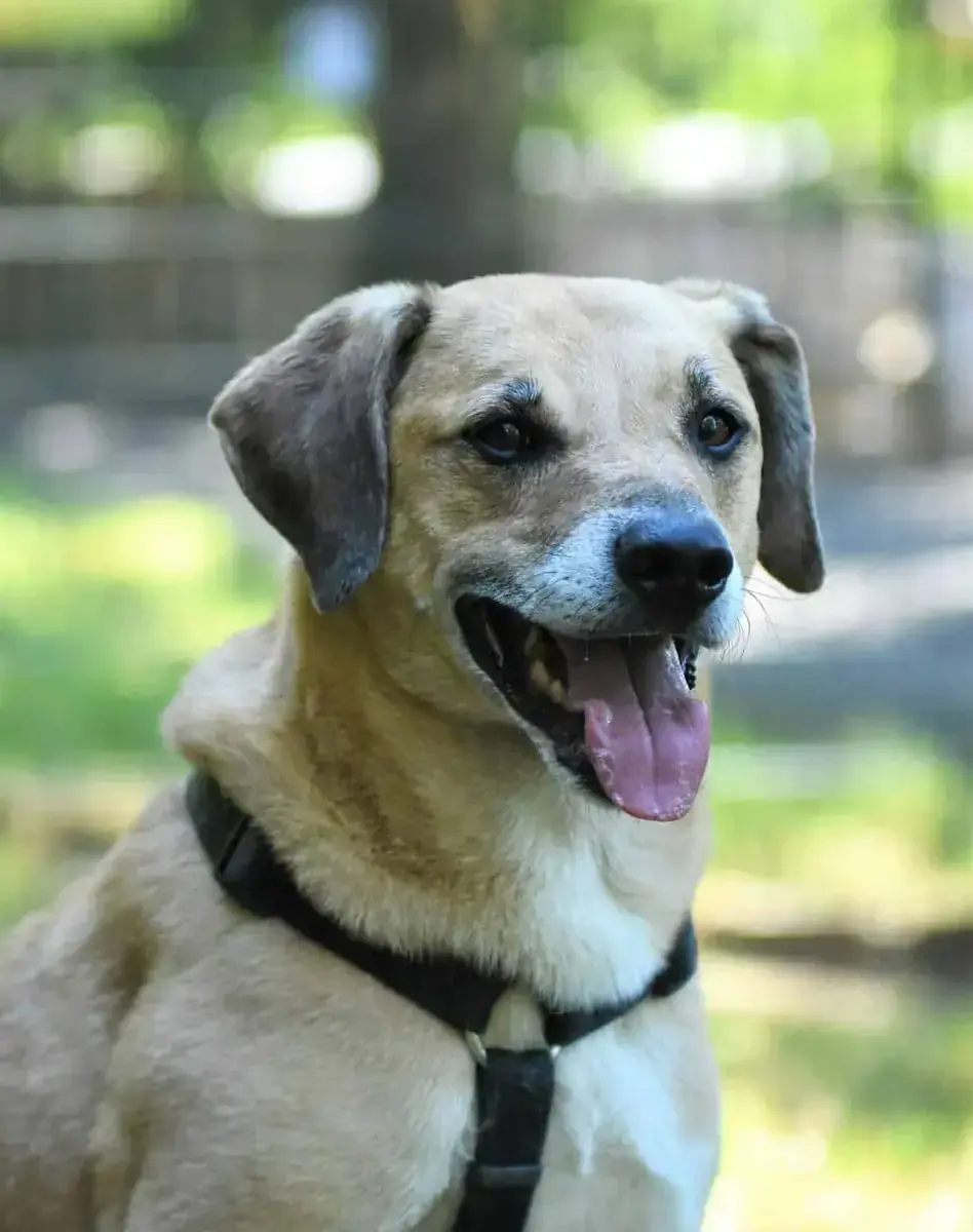Spike -  - Bild 6